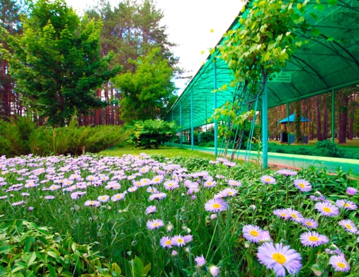 Санаторий «Приднепровский» Беларусь